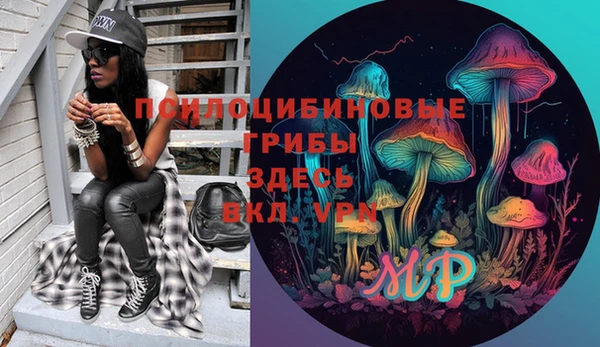 ГАЛЛЮЦИНОГЕННЫЕ ГРИБЫ Заводоуковск