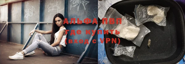 ГАЛЛЮЦИНОГЕННЫЕ ГРИБЫ Заводоуковск