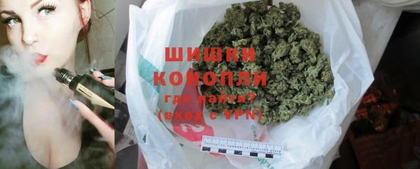 ГАЛЛЮЦИНОГЕННЫЕ ГРИБЫ Заводоуковск