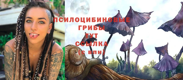 ГАЛЛЮЦИНОГЕННЫЕ ГРИБЫ Заводоуковск