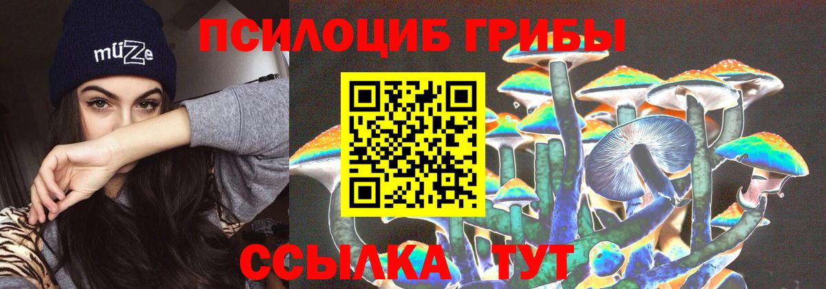 Псилоцибиновые грибы Psilocybine cubensis  Вход с VPN  Звенигород  Псилоцибиновые грибы Psilocybe 
